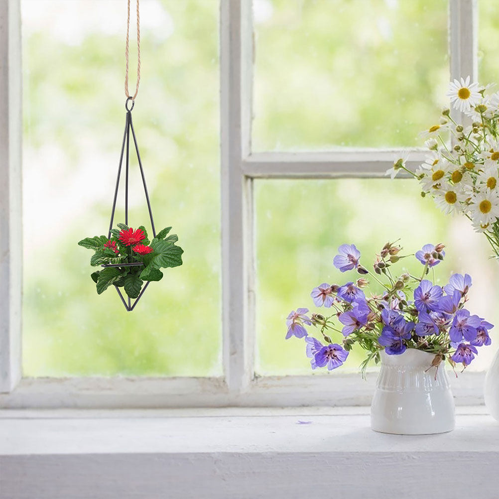 2Pcs Hanging Air Plant Holder  - Spider Plant Hanging recension och pris